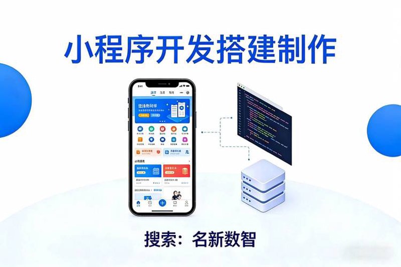 数据管理软件开发